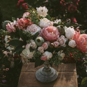 男人把鸡巴插女人屁股里视频
