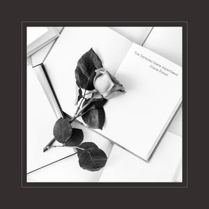 男人把鸡巴插女人屁股里视频
